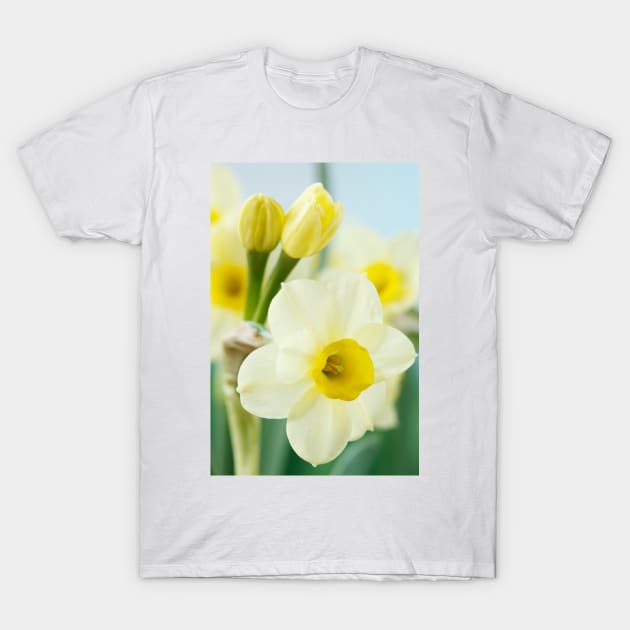 Narcissus  'Pacific Coast'  AGM    Division 8 Tazetta Daffodil T-Shirt by chrisburrows